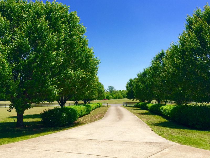 3926 John Lunn Rd, Spring Hill, TN 37174