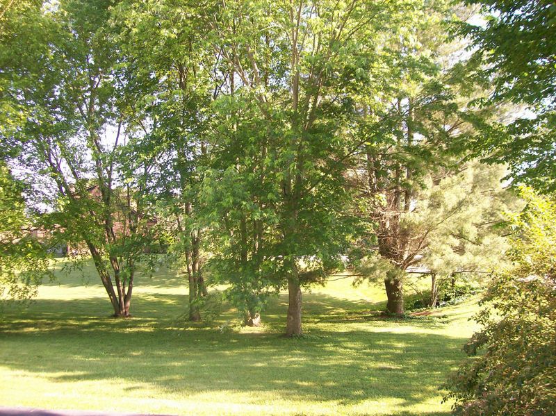 662 Lakeside Dr, Springfield, TN 37172