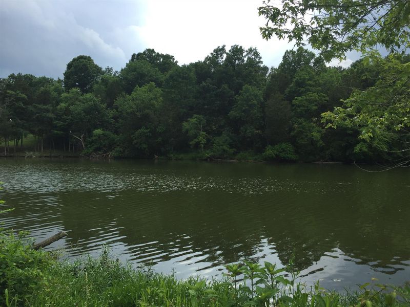 338 Peach Valley Rd, Gallatin, TN 37066