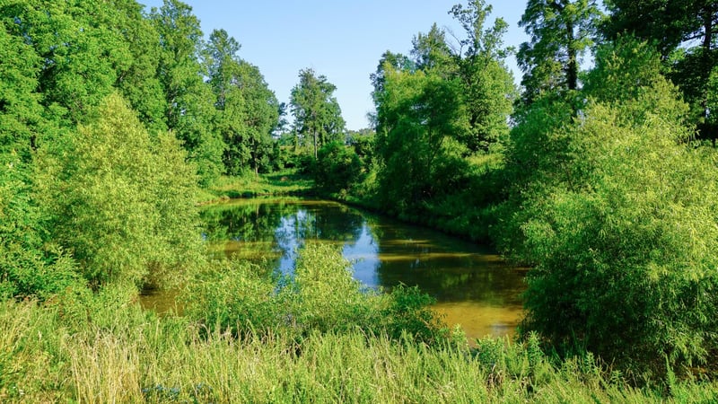 2375 Highway 49 E, Pleasant View, TN 37146