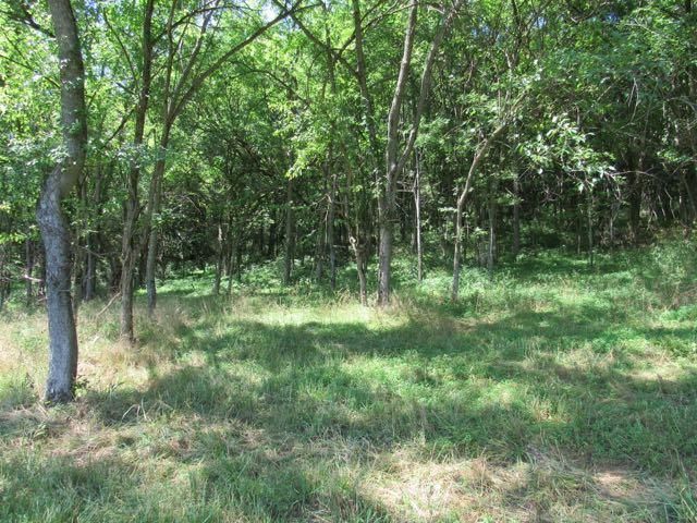 174 Farley Ln, Carthage, TN 37030