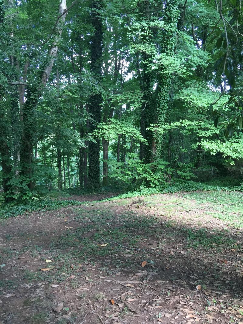 0 William Glen Rd, Ashland City, TN 37015