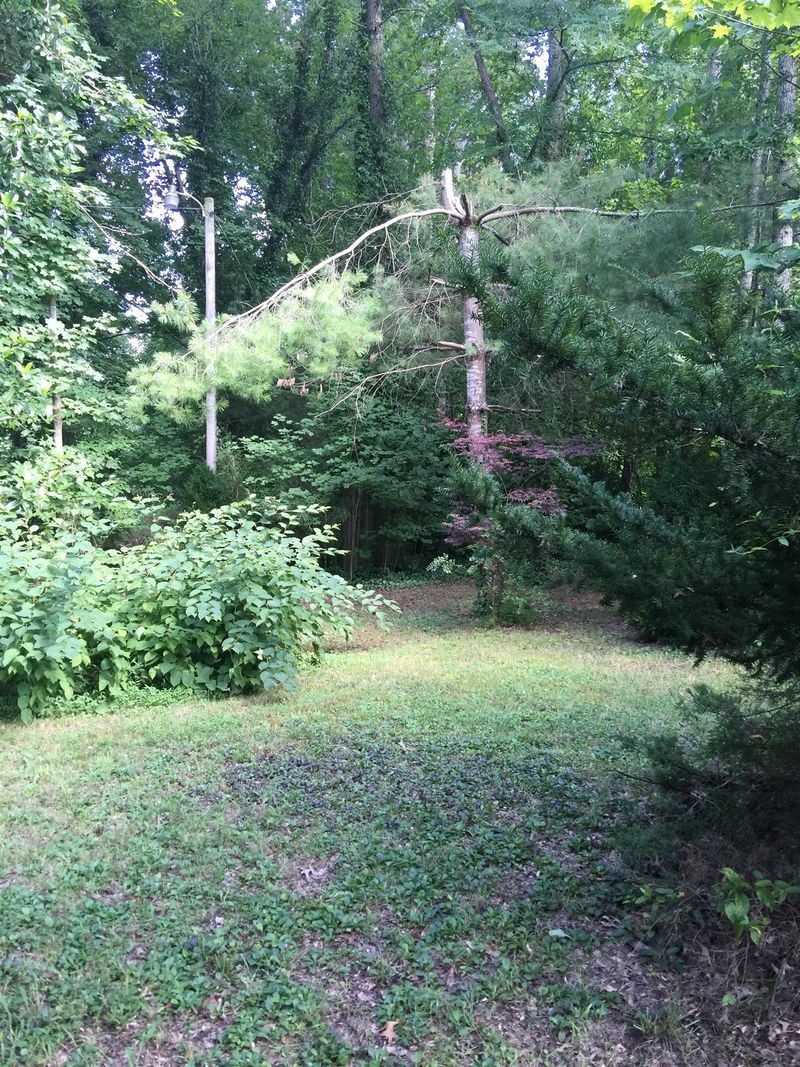 0 William Glen Rd, Ashland City, TN 37015