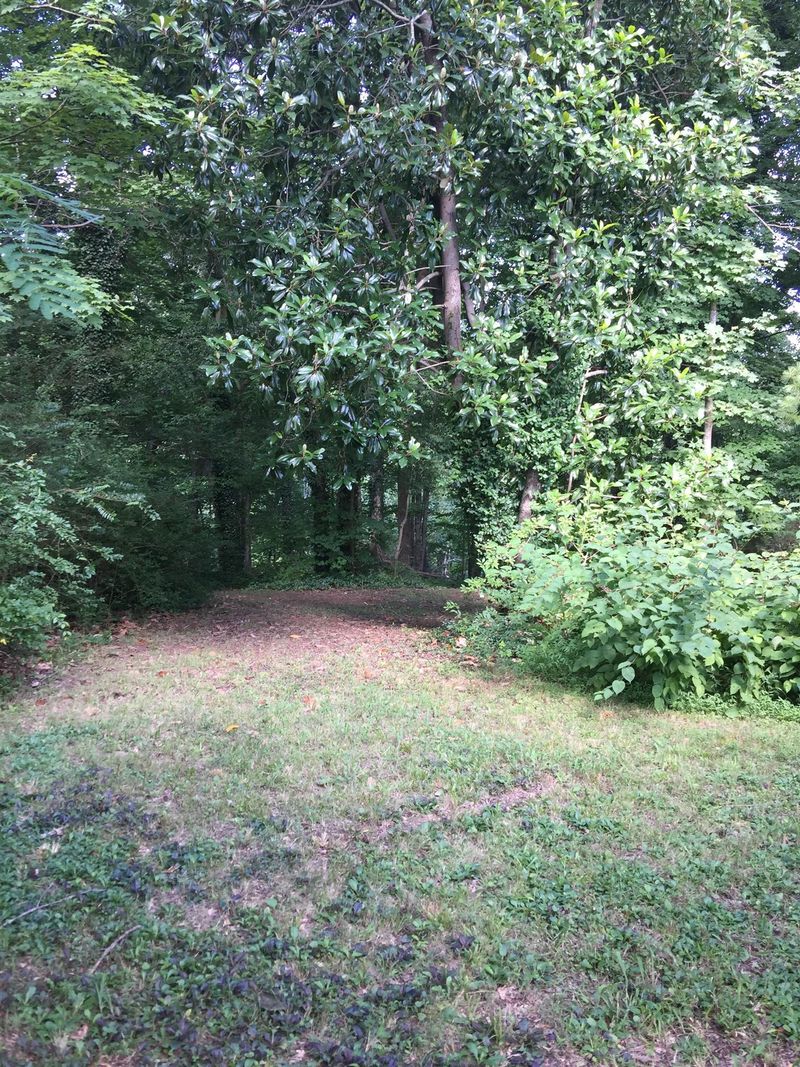 0 William Glen Rd, Ashland City, TN 37015