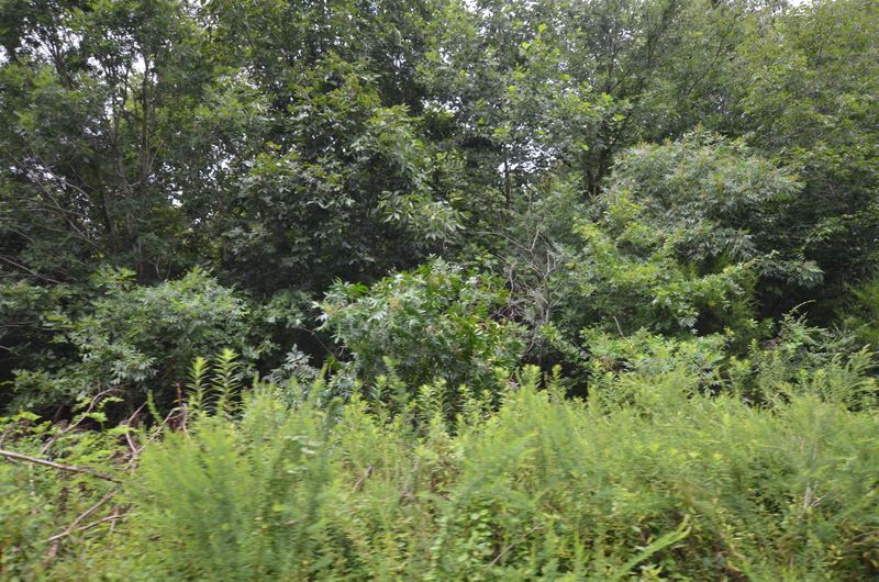 2666 Morgan Rd, Joelton, TN 37080