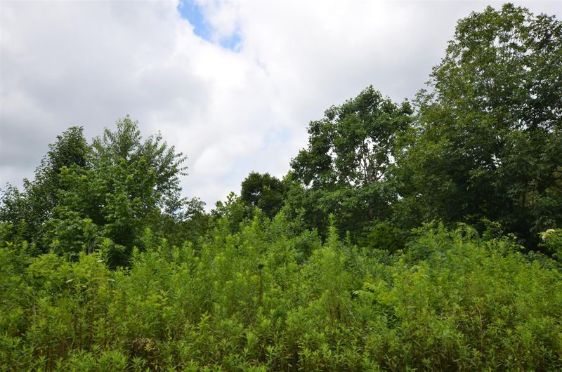 2664 Morgan Rd, Joelton, TN 37080