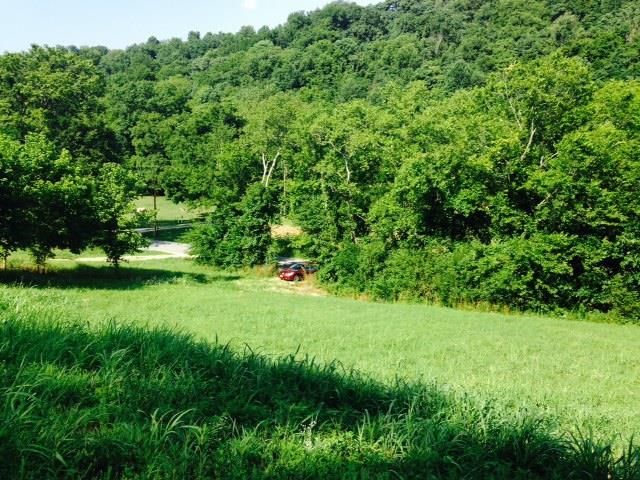1935 Terrapin Branch Rd, Mount Pleasant, TN 38474