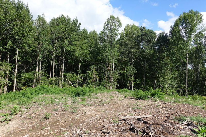 1829 Sugar Ridge Rd, Spring Hill, TN 37174