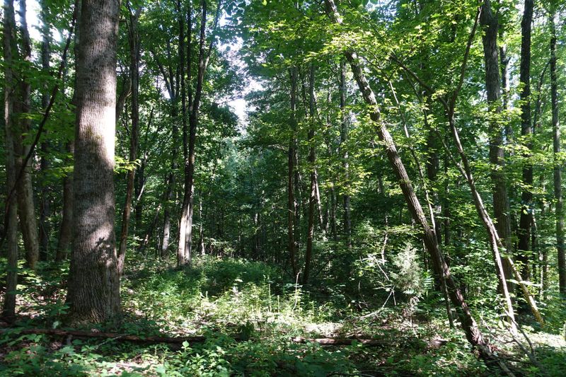 1829 Sugar Ridge Rd, Spring Hill, TN 37174