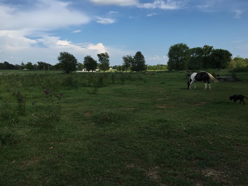 1676 B Dodson Rd, Columbia, TN 38401