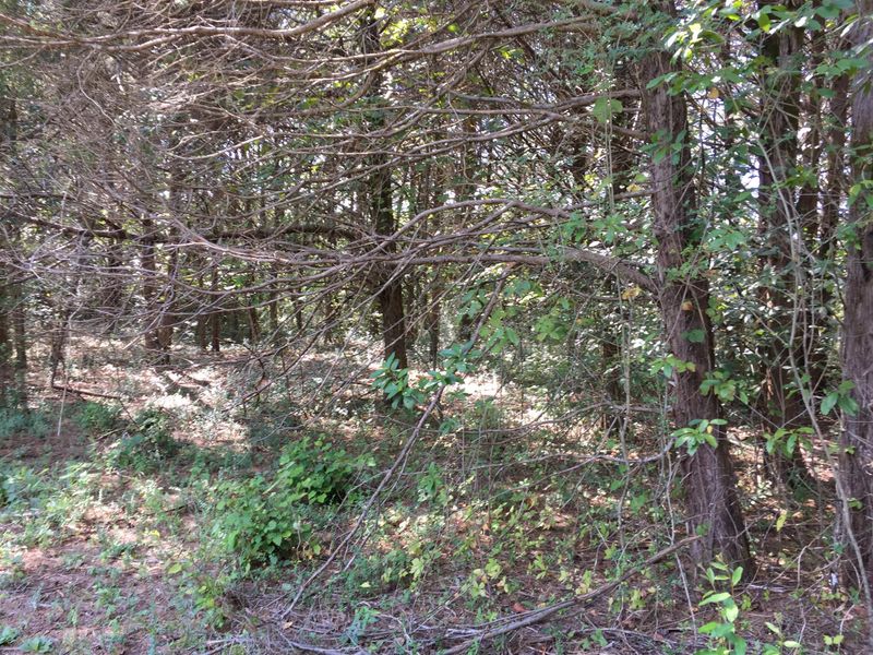 0 Fox Hill Ct, Murfreesboro, TN 37130