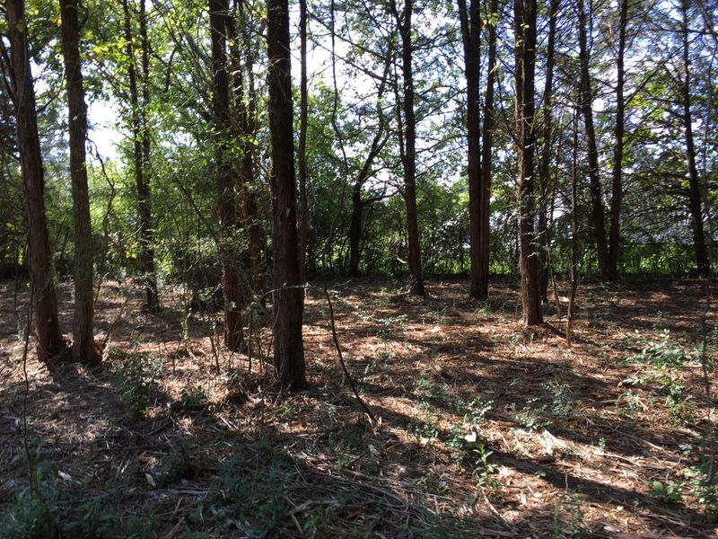 0 Fox Hill Ct, Murfreesboro, TN 37130