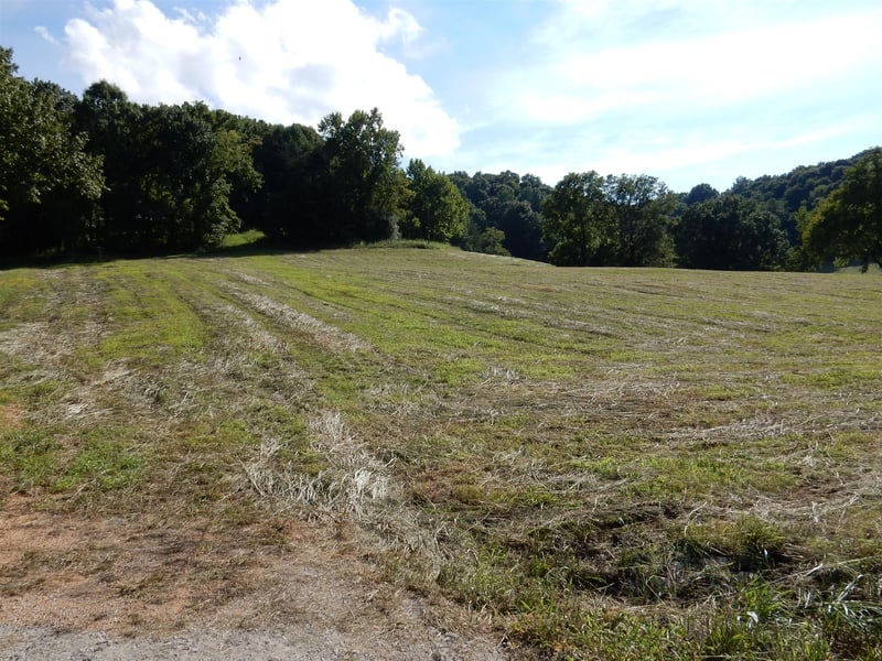 0 Dry Fork Rd, Hampshire, TN 38461
