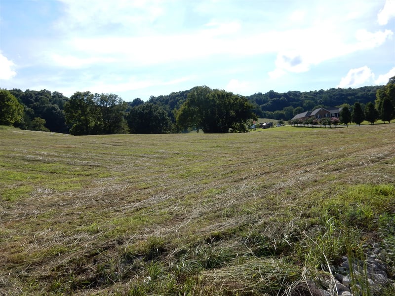 0 Dry Fork Rd, Hampshire, TN 38461
