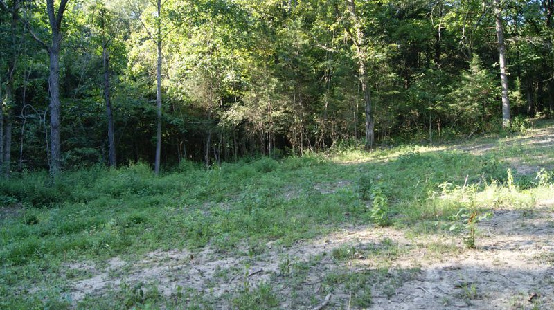 1287 Sandy Valley, Hendersonville, TN 37075