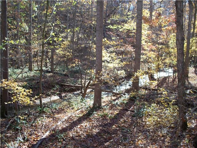 0 Wileys Bend Rd, White Bluff, TN 37187