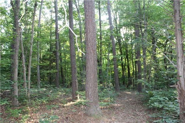 0 Cedar Ck Rd, Vanleer, TN 37181