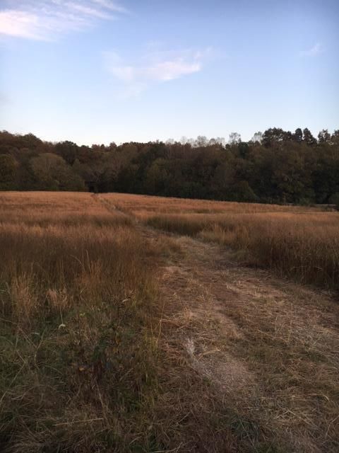 9618 Highway 96, Nashville, TN 37221