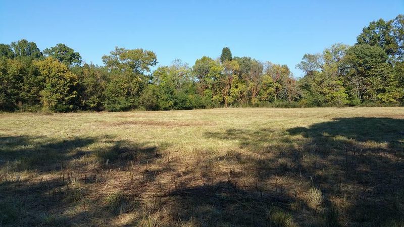 4200 Sequoia Pvt Ln, College Grove, TN 37046