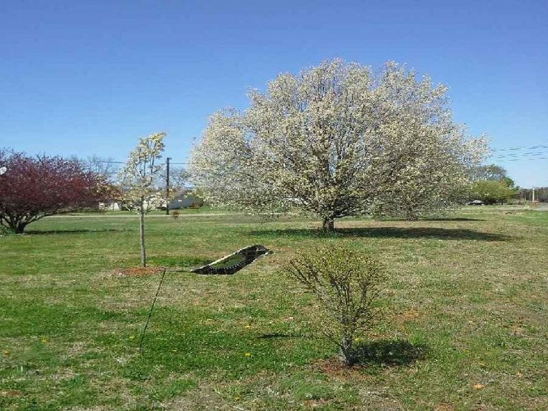 4151 Highship Rd, Murfreesboro, TN 37130