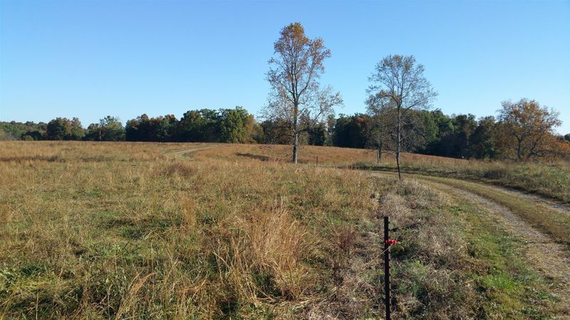 330C N Browns Ct, Portland, TN 37148