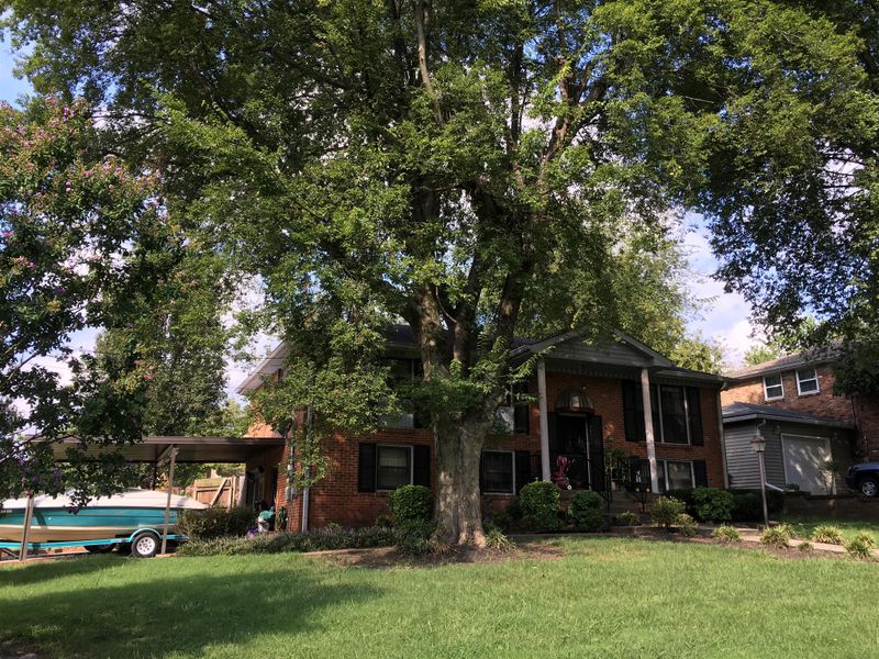 4807 Towry Dr, Nashville, TN 37211