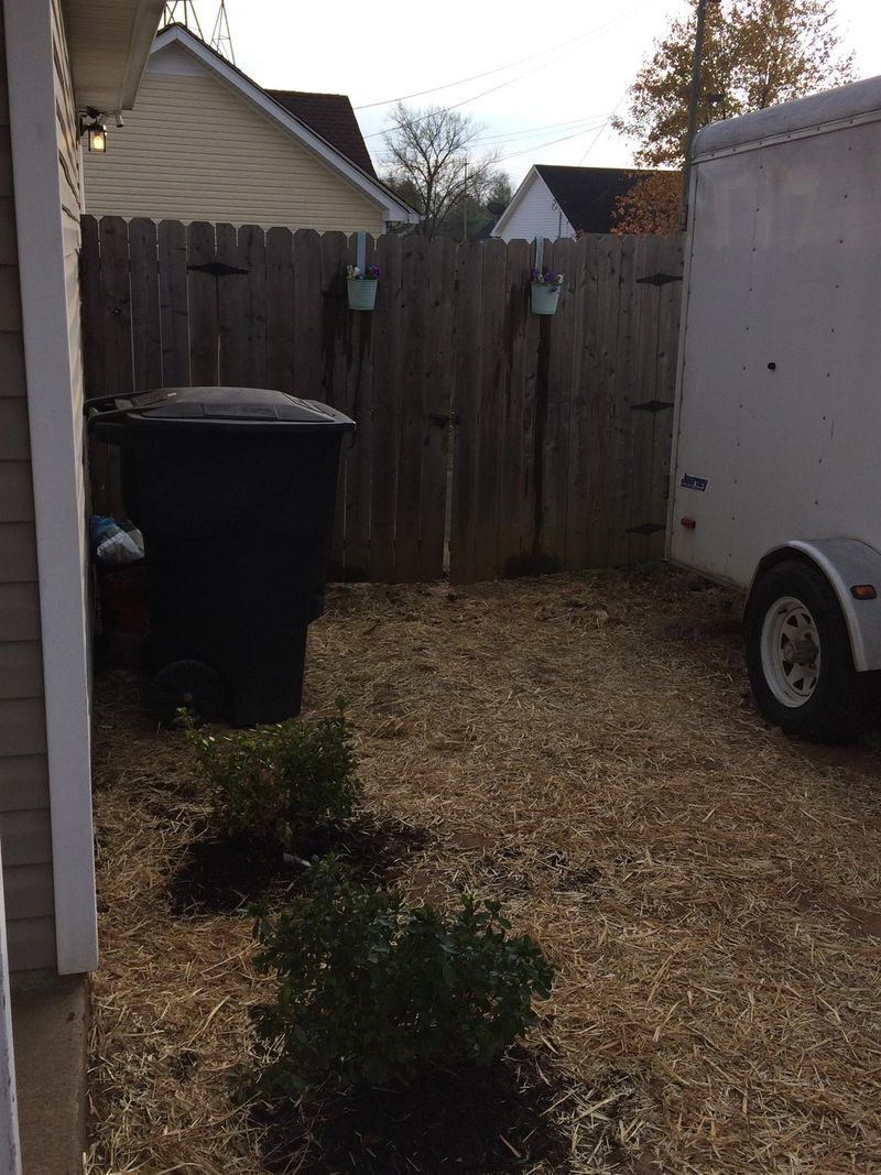 2408 Chandler Pl, Murfreesboro, TN 37130