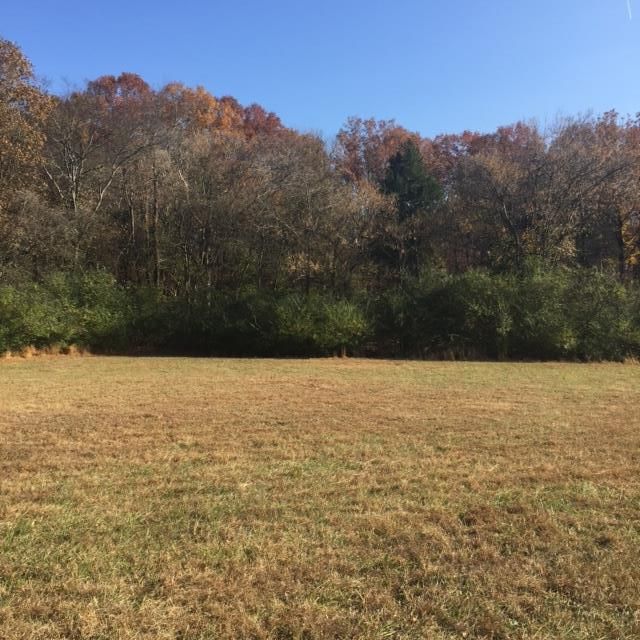 1522 Anderson Rd, Hendersonville, TN 37075