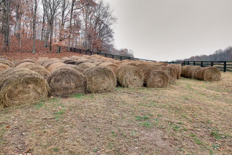 3050 Knob Creed Rd, Columbia, TN 38401