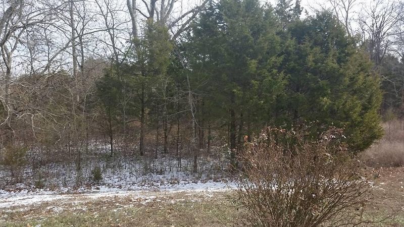 3117 Shady Tree Ln, Antioch, TN 37013