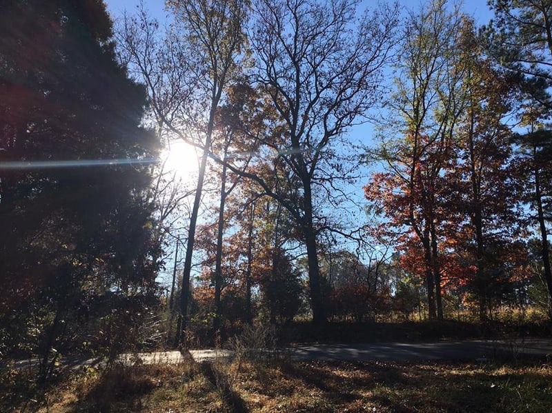 8416 Riley Adcock Rd, Joelton, TN 37080