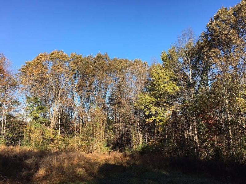 8416 Riley Adcock Rd, Joelton, TN 37080