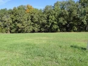 7107 Kimbark Trl, Fairview, TN 37062