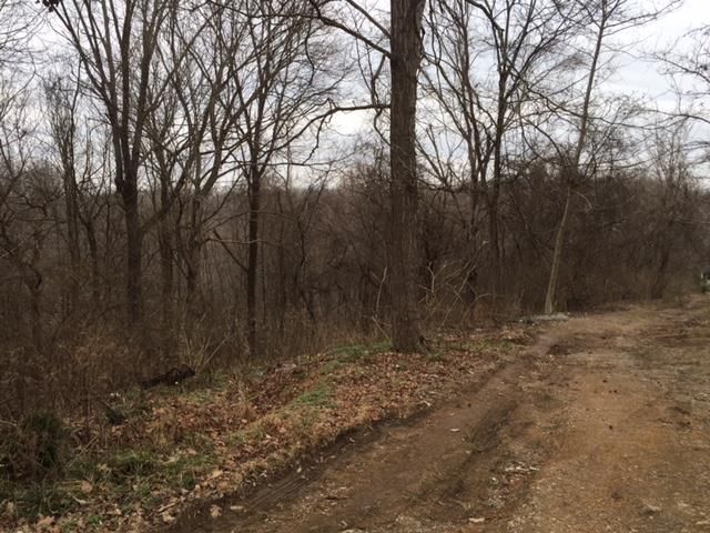 8721 Hester Beasley Rd, Nashville, TN 37221