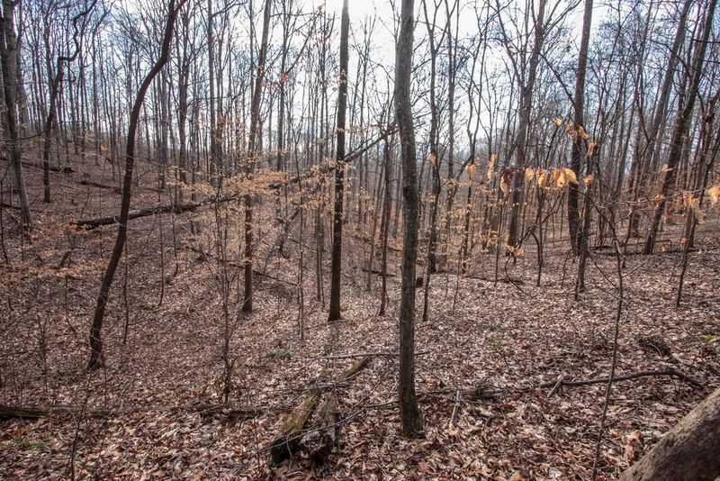 5955 S Lick Creek Trl, Franklin, TN 37064
