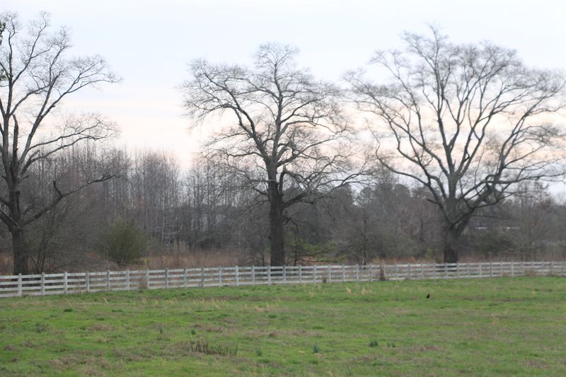 0 Upper Elkton Rd, Ardmore, AL 35739
