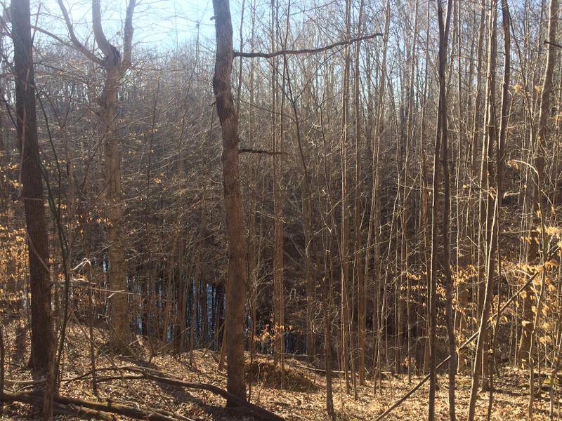 8660 Poplar Creek Rd, Nashville, TN 37221