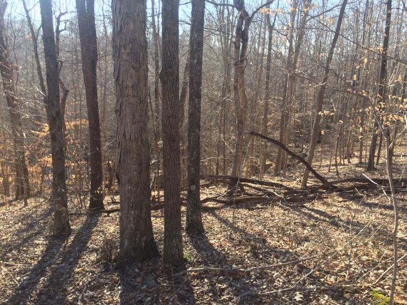 8660 Poplar Creek Rd, Nashville, TN 37221