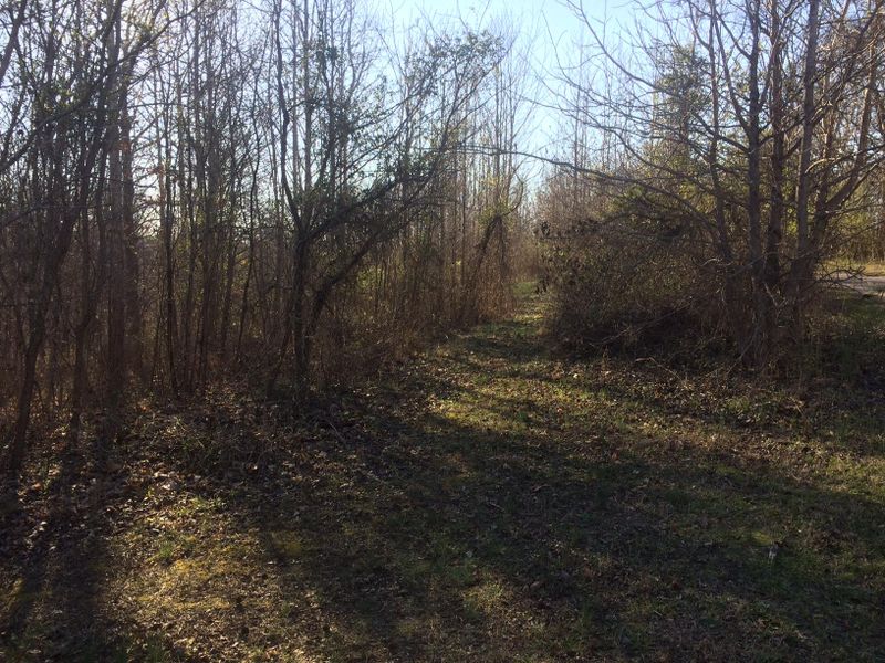 8660 Poplar Creek Rd, Nashville, TN 37221