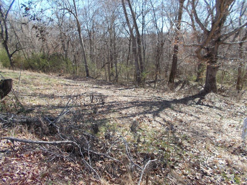 2 Ben Collier Rd, Charlotte, TN 37036