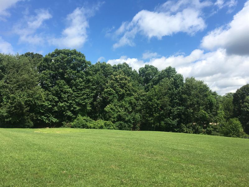 0 Robin Hood Rd Lot 11, Dickson, TN 37055