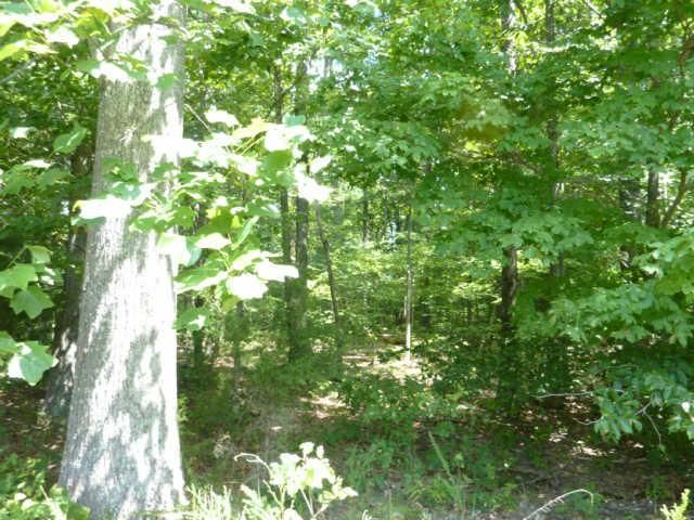 6021 Garrison Springs Rd, Franklin, TN 37064