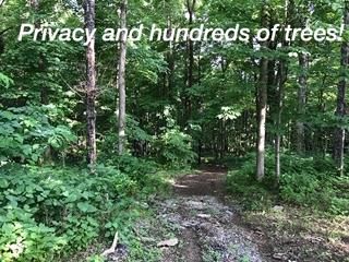 4456 Savage Pointe Pvt Dr, Franklin, TN 37064