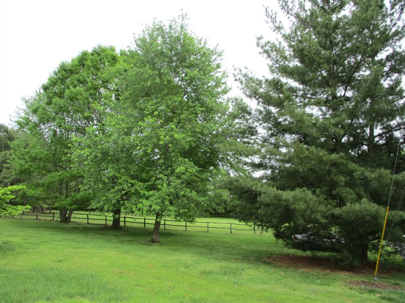 2 Chapman Dr, Lebanon, TN 37087
