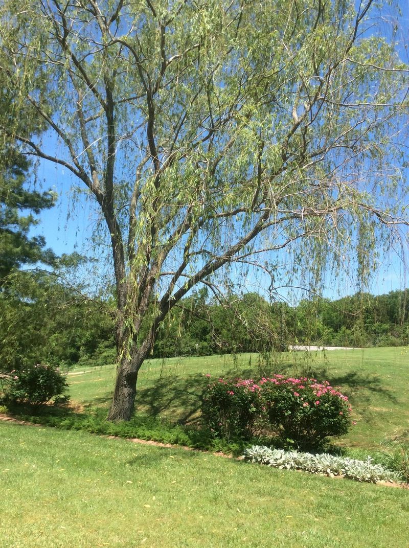 2723 American Horse Trl, Murfreesboro, TN 37127