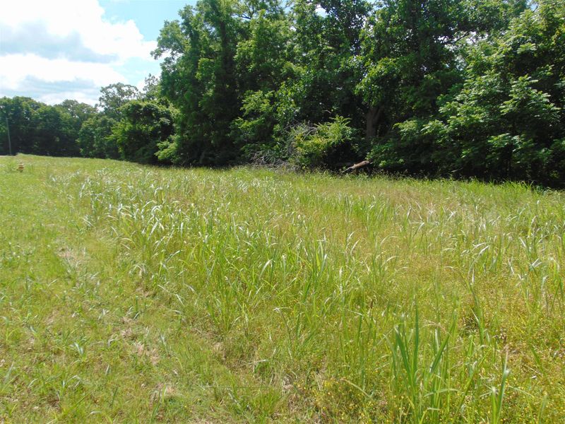 0 Curtis Cross Rd, Hendersonville, TN 37075