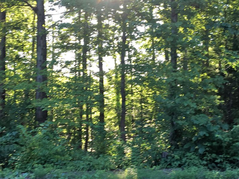 3290 Old Sams Creek Rd, Pegram, TN 37143