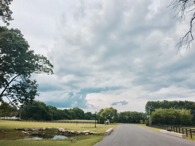 3028 Berry Patch Trl, Rockvale, TN 37153