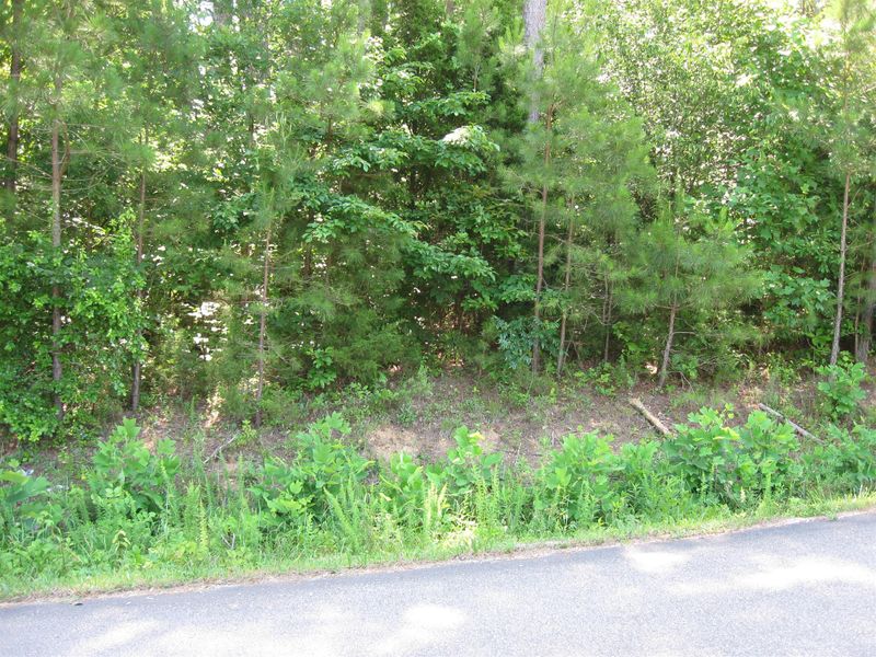 0 Caps Rg, Dickson, TN 37055