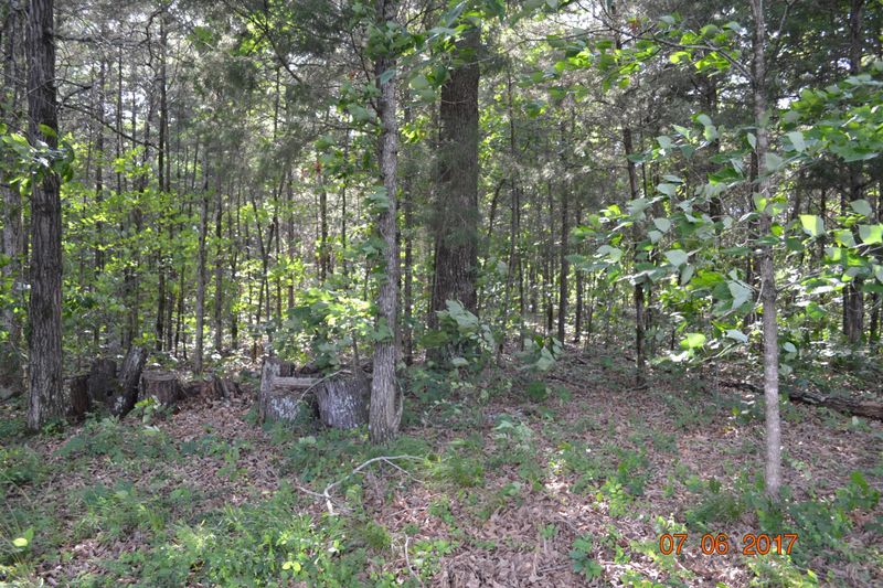 102 Oak Tree, Murfreesboro, TN 37130